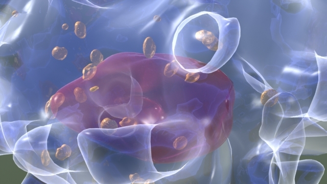 mast-cell-close-test