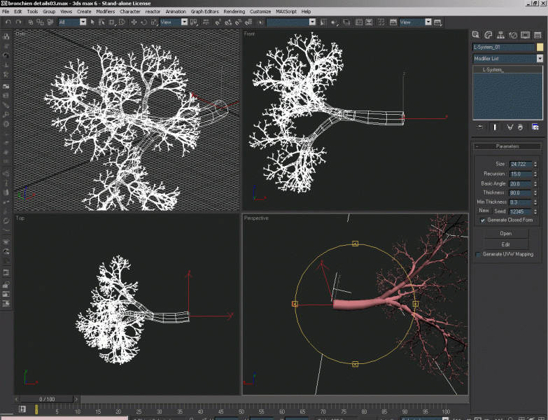 screen-shot-l-systems