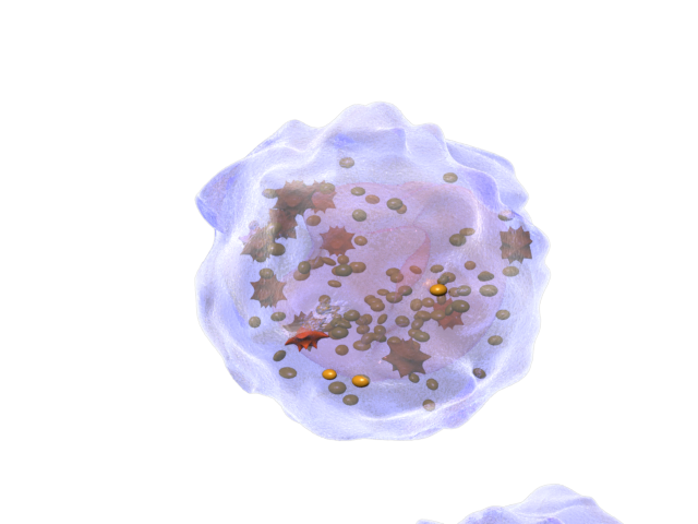whole_render