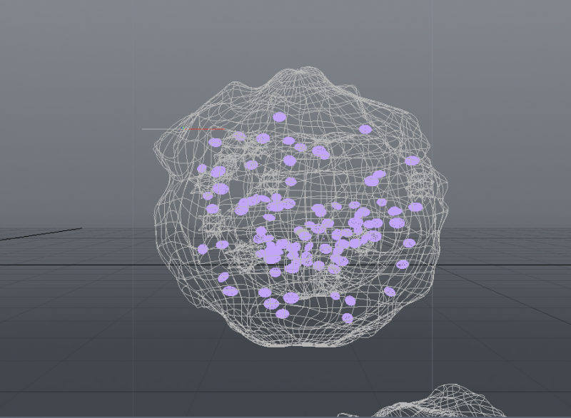 whole_wireframe